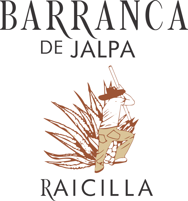 barrancadejalpa.com