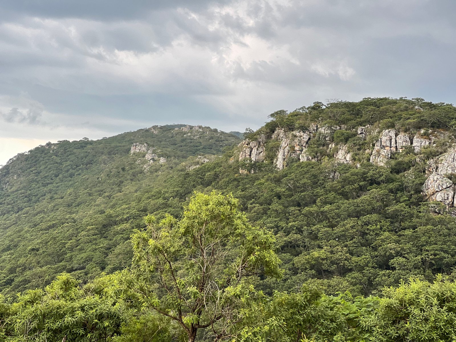 Sierra de Jalpa