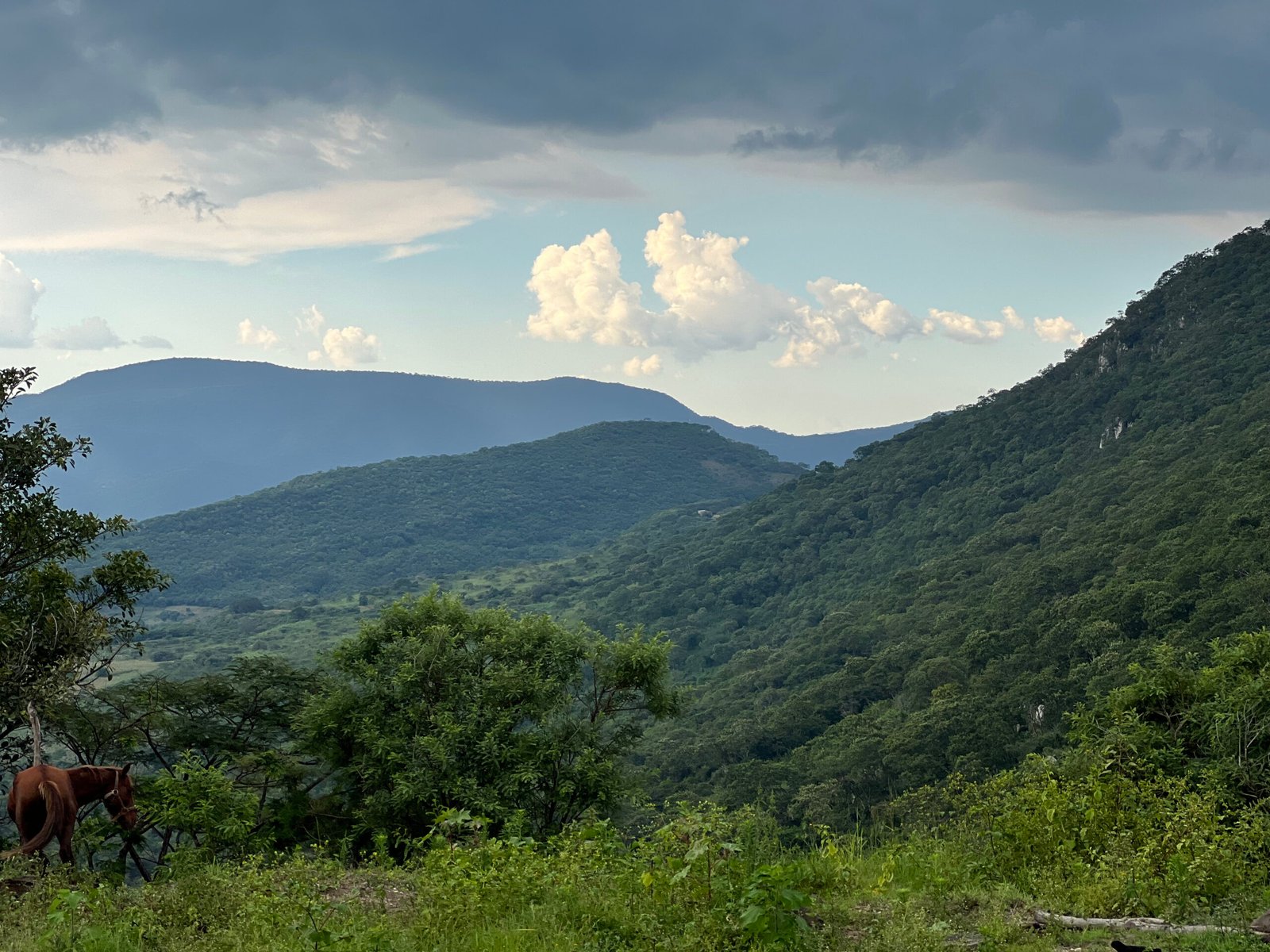 Barranca de Jalpa, Chiquilistlán
