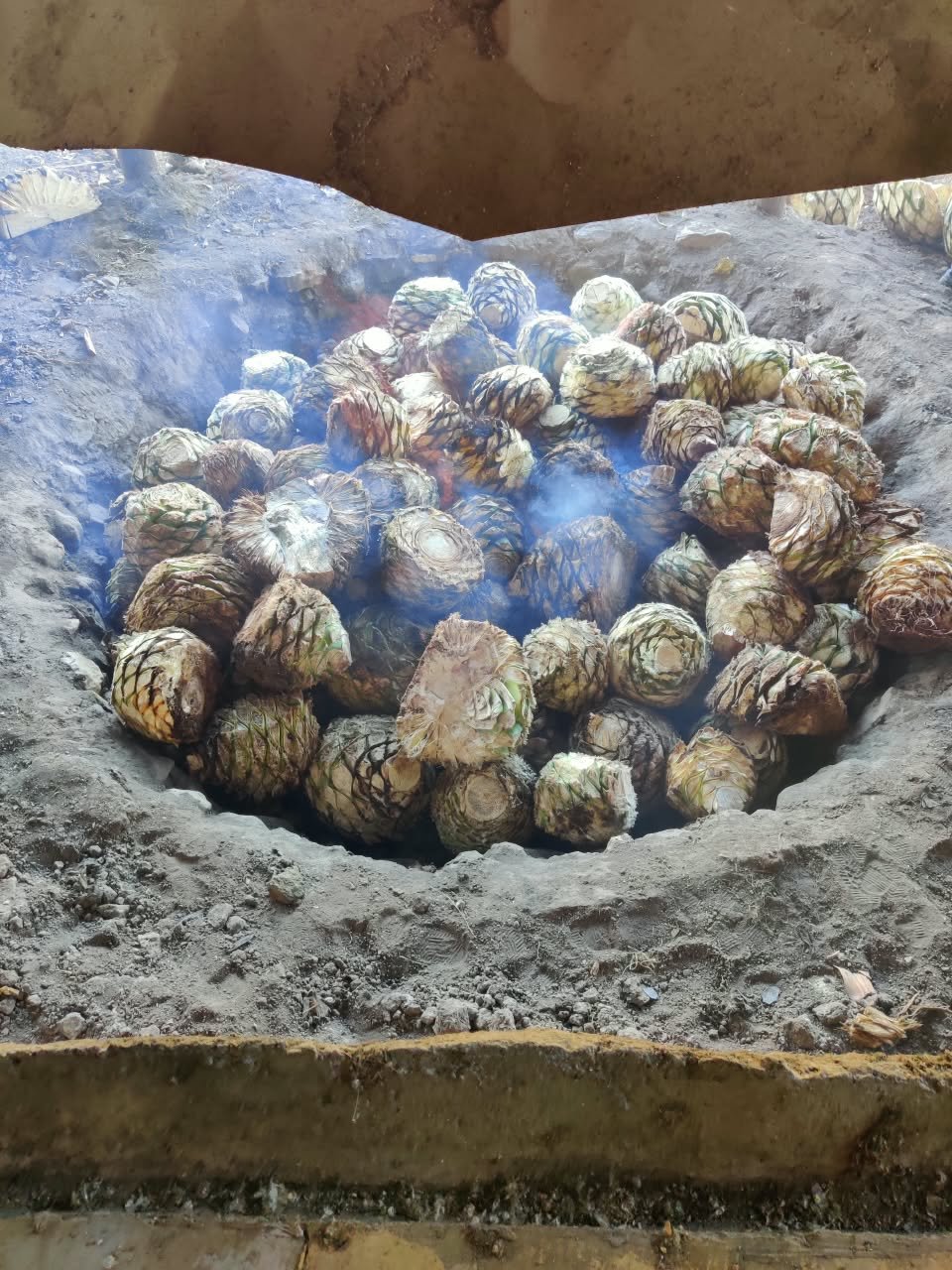 Barranca de Jalpa · capítulo IV