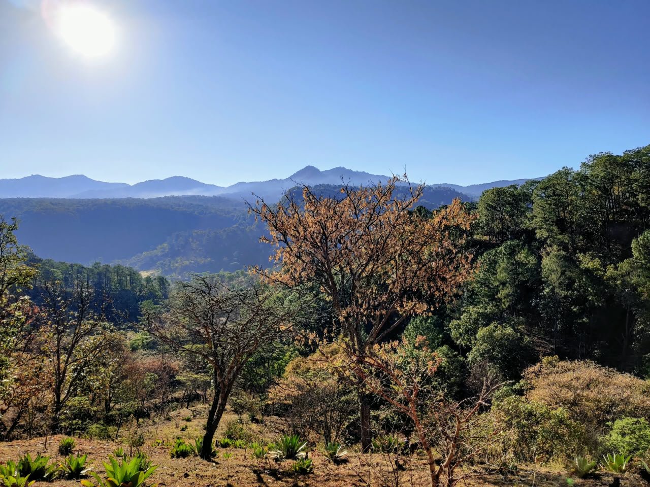 Archivo visual · LA MONTAÑA ANTES DE LA RAICILLA · Barranca de Jalpa