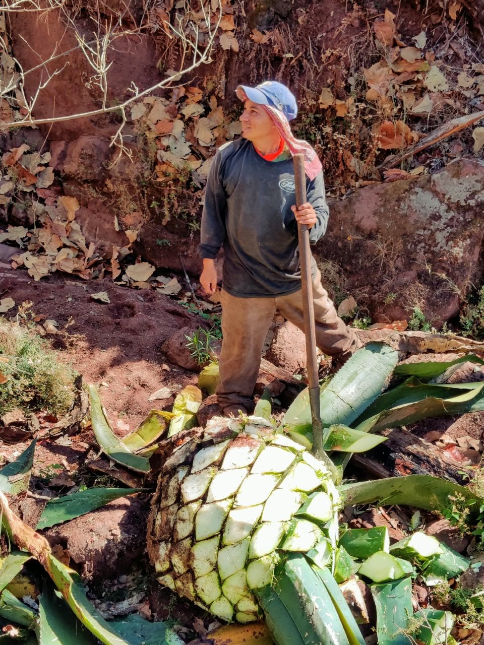 Archivo visual · HIERRO, MINAS Y MEZCAL · Barranca de Jalpa