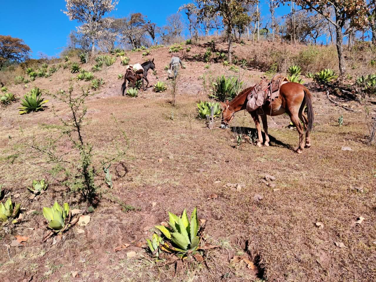 Archivo visual · ANTES DEL NOMBRE YA EXISTÍA · Barranca de Jalpa