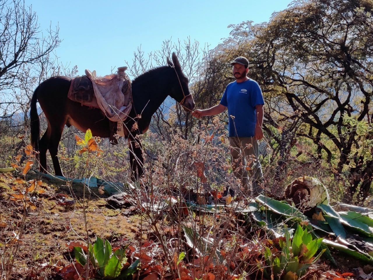 Archivo visual · ANTES DEL NOMBRE YA EXISTÍA · Barranca de Jalpa