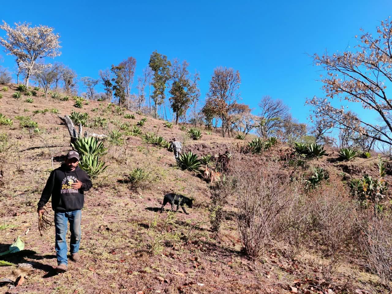 Barranca de Jalpa · capítulo VI